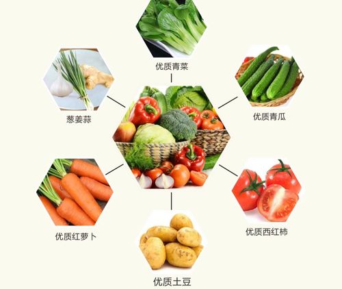 老西關(guān)食材產(chǎn)品系列 一站式采購(gòu)，重溫地道廣府味